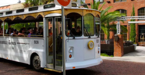Why Your Books are Better Off in a Shuttle to Tybee Island